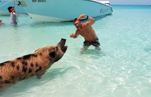 FOTO "Motoreta" și porcii înotători :) Poze geniale postate de Adi Popa din vacanță