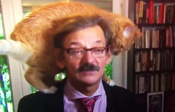 VIDEO Un interviu al unui mare istoric a devenit viral. Uite ce a putut să îi facă pisica!
