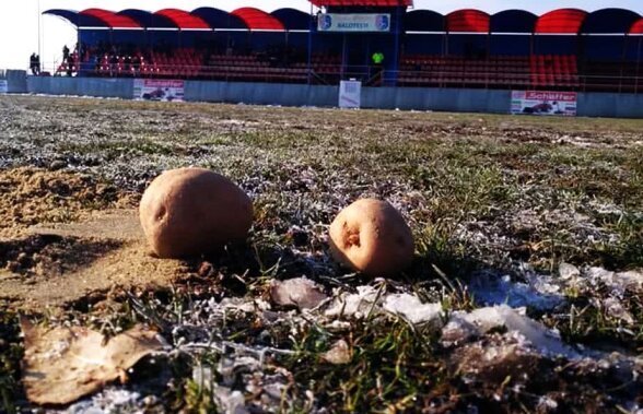 FOTO Imagini epocale în fotbalul românesc » Au "răsărit" cartofii pe un teren din liga secundă