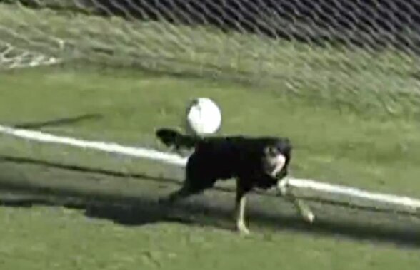 VIDEO Peste Penedo!? Imagini incredibile din Argentina » Ar fi bun la Dinamo? :D