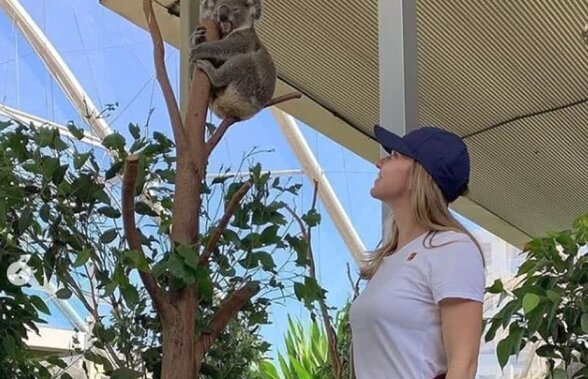 SIMONA HALEP. VIDEO + FOTO Simona Halep s-a distrat înainte de turneul de la Sydney » Liderul WTA s-a relaxat printre koala și canguri