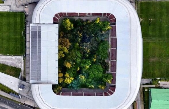 Nemaivăzut: se face o pădure plantată în stadion! Cum va arăta