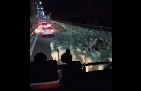 VIDEO Nu credeai că e posibil, dar s-a întâmplat pe Autostrada Soarelui: „Asta-i România anului 2019! Se circulă cu 400 de OI la oră”