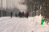 FOTO / Rapid s-a antrenat pe stradă! Manea: "Aici am toate condiţiile de pregătire" :D