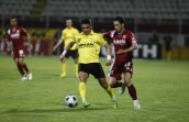 "Stegarii" joacă mîine cu Partizan Belgrad