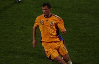 Niculae: "Avem o grupa echilibrata pentru Euro 2012. Franta are totusi prima sansa"