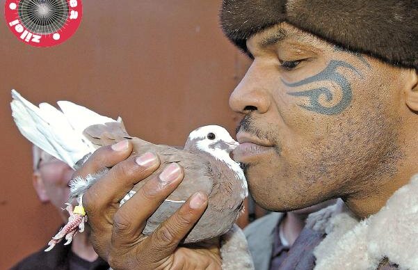 Poza zilei / "Fiara" îmblînzită de porumbei