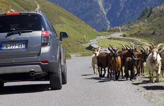 FOTO & VIDEO: Drive test Chevrolet Captiva » A aruncat mănuşa