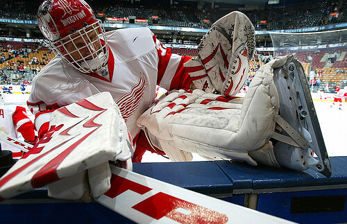 Hocheistul Dominik Hasek ia o pauză de un sezon la 46 de ani, dar nu se retrage