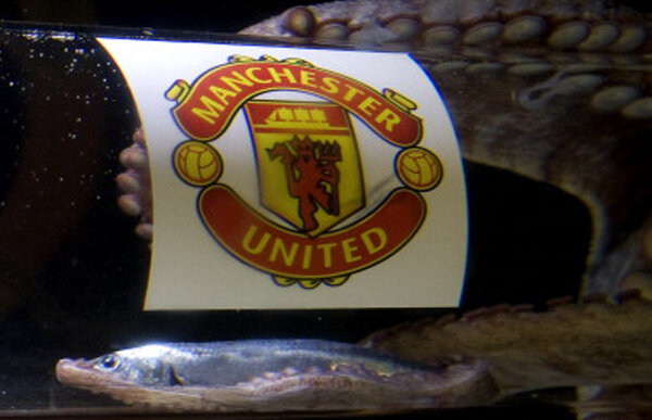 Caracatiţa Iker ştie cine va lua Liga Campionilor!