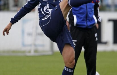 Marica a debutat la Schalke! L-a înlocuit pe Raul