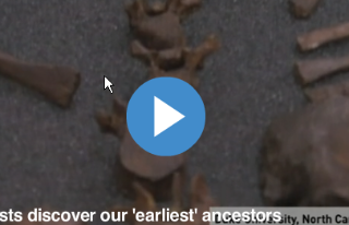 Au fost descoperite fosile ale celei mai vechi specii din rasa umană: Australopithecus Sediba (VIDEO)