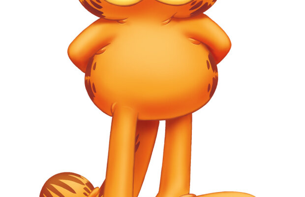Fă o poză cu motanul tău şi cîştigi premii Garfield!