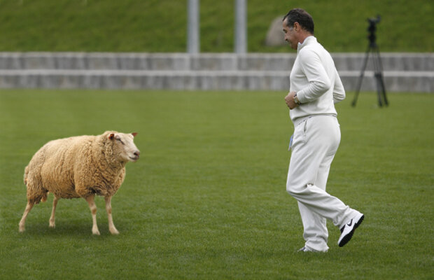 Dinu Gheorghe rîde de Gigi: "Sigur nu-şi taie capul dacă le dă Surdu gol. Poate doar o oaie" :)