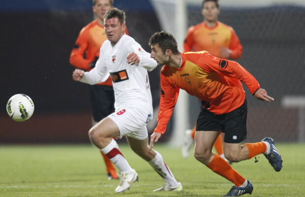 Cîinii mănîncă ursuleţi