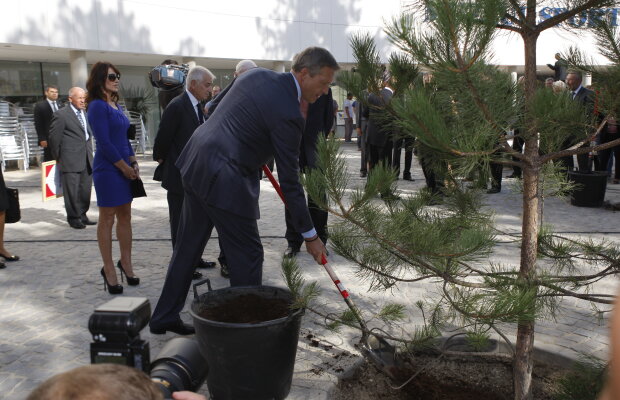 Medaliaţii olimpici vor planta 49 de copaci la Izvorani