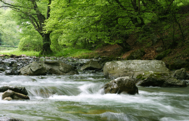 Alege o vacanţă la Hotel Ami din Băile Felix, lângă Lacul cu nuferi!