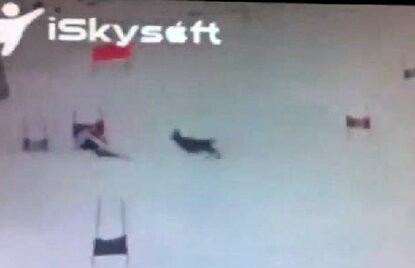 VIDEO Un schior elveţian a fost la un pas de moarte după ce un cerb a pătruns pe traseul său