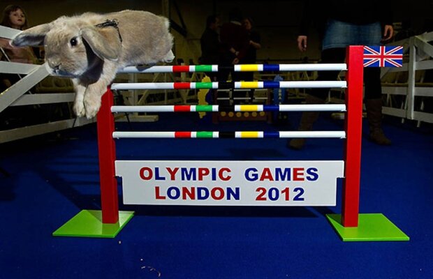 Cea mai teribilă întrecere din lume » Olimpiada lui Bocănilă :D