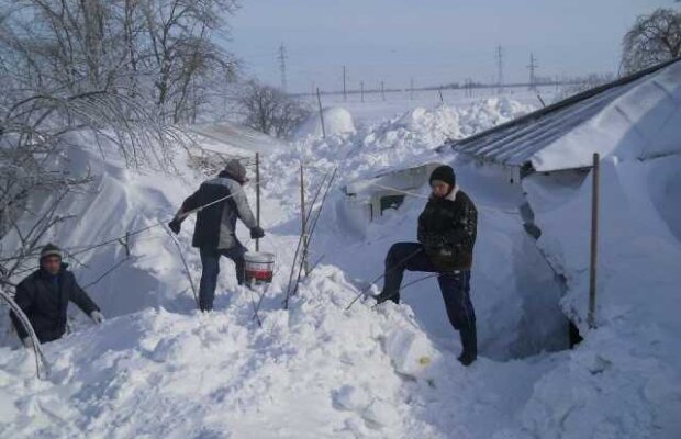 Becali, Porumboiu şi Lucescu participă la acţiunile umanitare destinate celor din Vrancea şi Buzău