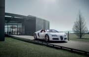 Bugatti Veyron Grand Sport Wei Long, debut în China