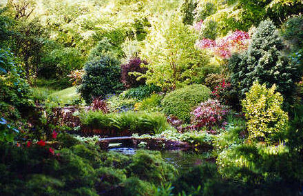 Ecosistemul Terrei se va prăbuşi în maxim 100 de ani