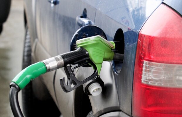 Universitatea Edinburgh: biocombustibilii nu sunt chiar atât de verzi