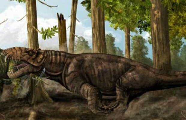 Cu Google Earth pe urmele unor animale misterioase