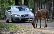 Volvo anunță trei noi sisteme de siguranță activă