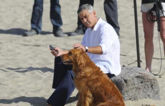 George Clooney si iubita lui au facut toxiinfectie alimentara in vacanta
