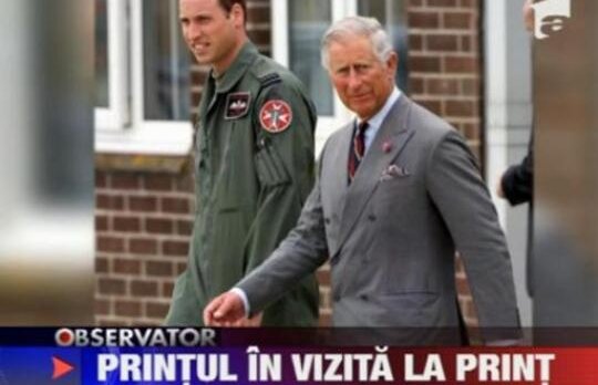 Printul William, ghid pentru tatal sau la locul de munca