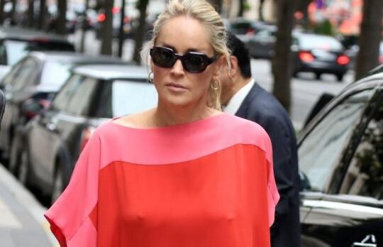 Sharon Stone vrea o relatie, dar nu o doreste nimeni!
