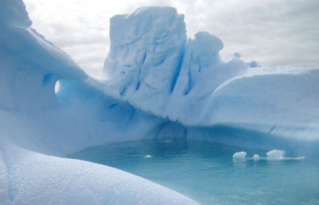 Incredibil, dar adevărat. Antarctica a fost acoperită de păduri cvasitropicale