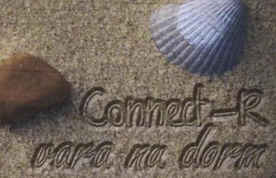 Nici ungurii... vara nu dorm!