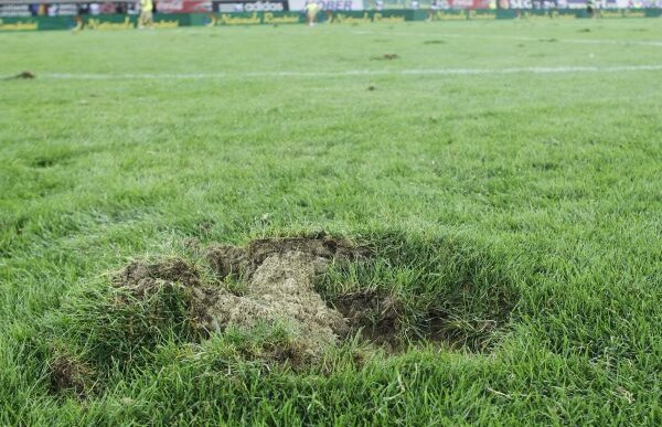Operaţiunea "Gazonul 4" » Iarba de pe "Naţional Arena" a costat pînă acum 1,02 milioane euro