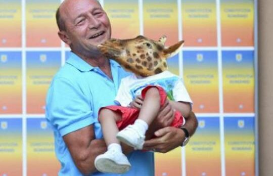 Celebra girafa distrusa in fata muzeului Antipa are cont pe Facebook!