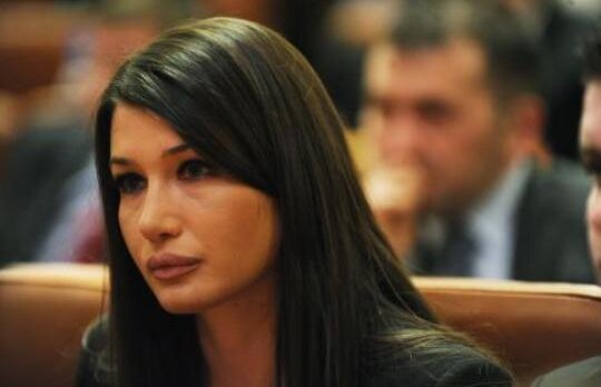 Elena Basescu, intr-un comunicat de presa: "Invitatii nu au niciun fel de restrictii"