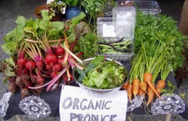 Stanford: Organic nu înseamnă neapărat sănătos