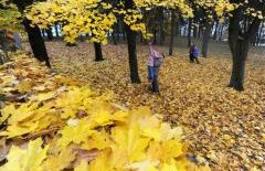 Vremea se răceşte de miercuri. Vezi PROGNOZA METEO pentru următoarele zile 