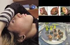 Topul celor mai bizare ştiri din anul 2012