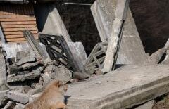 Anul 2013 vine cu dezastre naturale, iar România nu va fi deloc ocolită