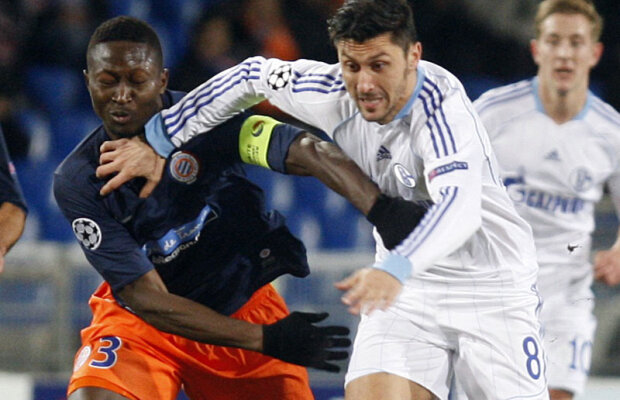 Blocat de Schalke » Marica nu poate da curs ofertelor venite de la Palermo şi Parma