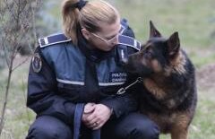 "V-aţi confruntat cu cazuri de hărţuire sexuală din partea şefului?". Vezi celelalte întrebări la care trebuie să răspundă cele 8.809 de femei din Poliţia Română 