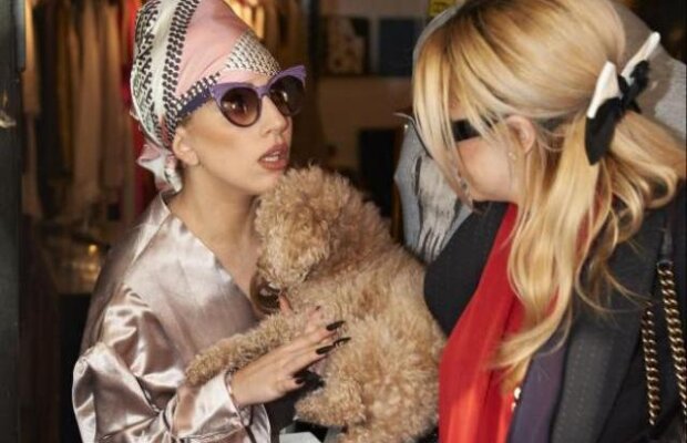 Cand n-ai ce face.... Lady Gaga isi invata catelul sa deseneze