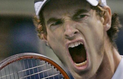 Cu cine se va duela Djokovici în finala de la AO: Murray, favorit la pariuri!