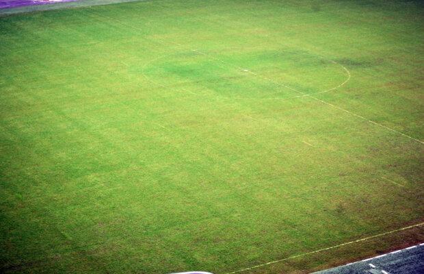 Starea terenului de pe Naţional Arena nu îl îngrijorează pe Reghecampf: "Ne vom adapta jocul la gazon"