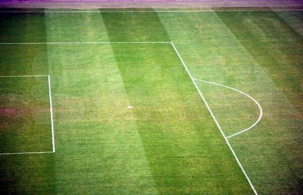 Un parlamentar cere anchetă în privinţa gazonului de pe Naţional Arena: "Aceşti golani trebuie să răspundă"