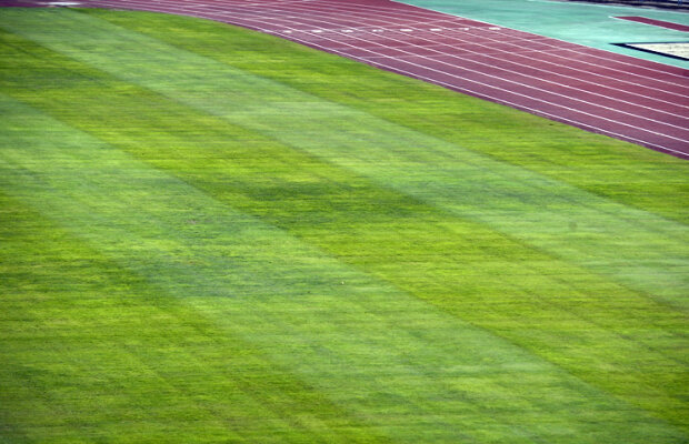 Gazon periculos! » Budapesta aşteaptă "tricolorii" cu un teren îmbibat cu apă
