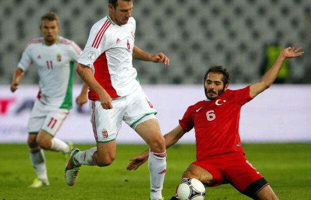 Cum ne calificăm la baraj: meciul dintre Turcia şi Ungaria va desemna rivala României pentru locul 2