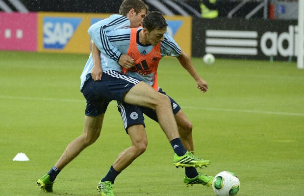 Germania în febra Dengue! » Alarmă la nemţi: şi-au stabilit cantonamentul într-o regiune bîntuită de un virus periculos